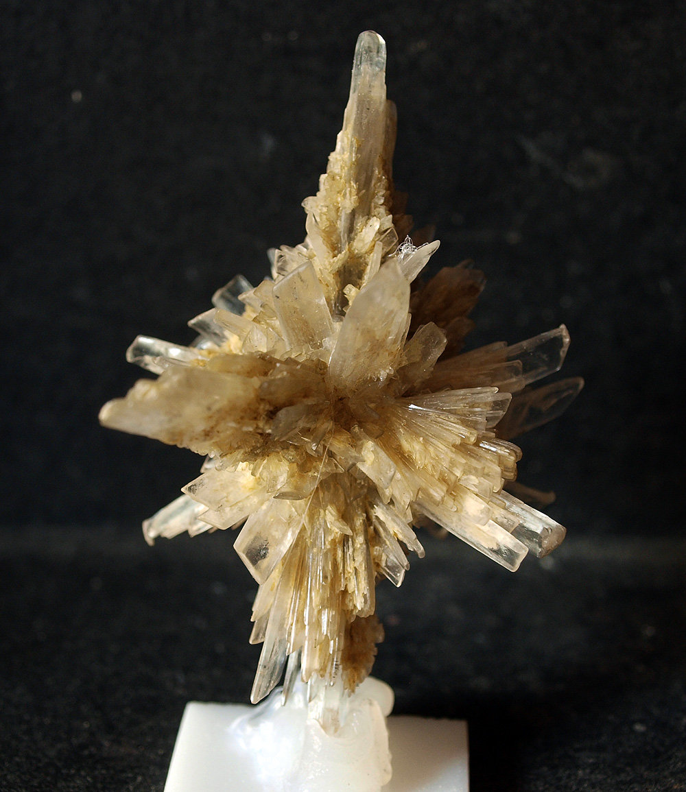 Yeso
8 x 4 cm
(Autor: Pedro Antonio)