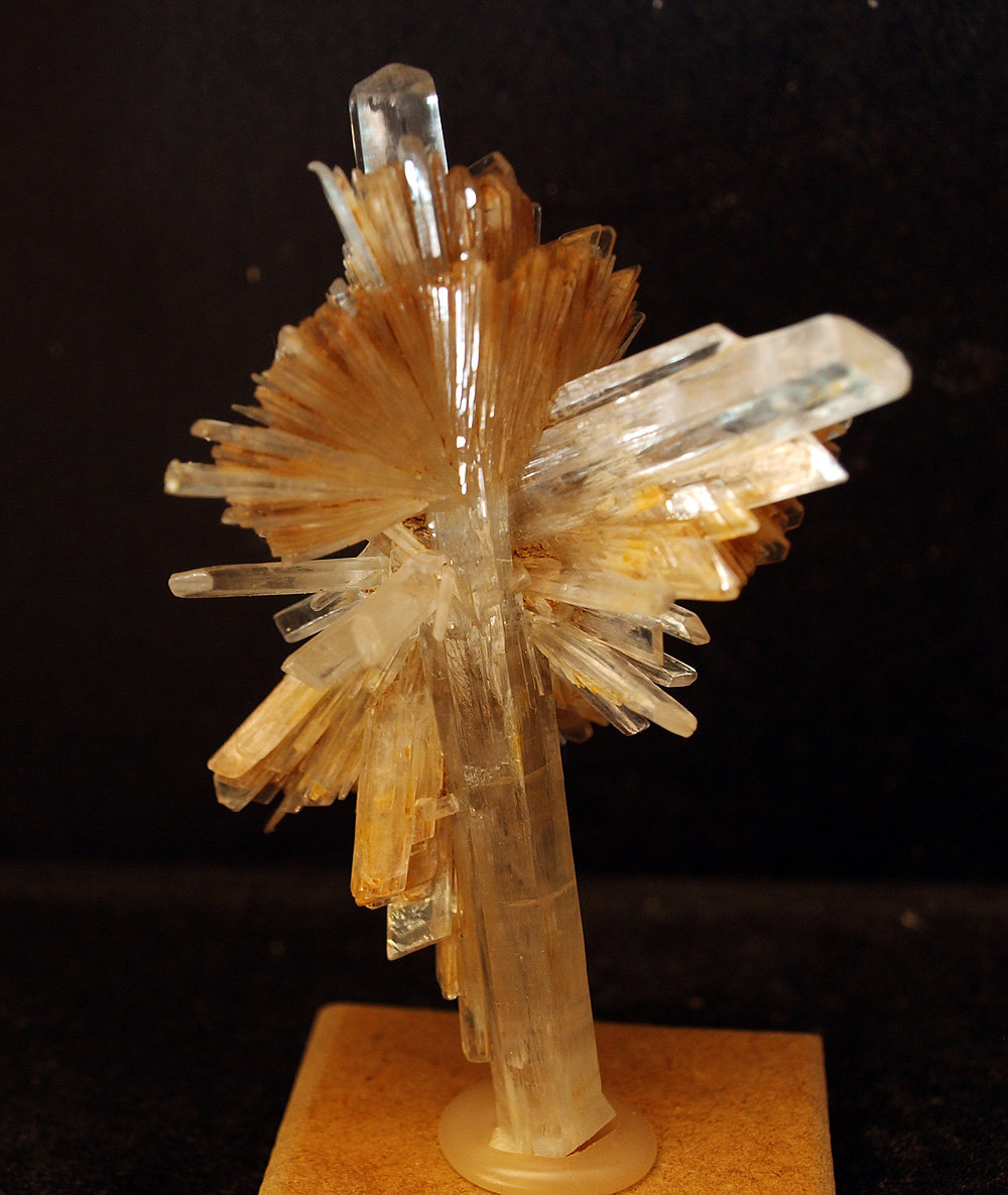 Yeso
8.5 x 6.5 cm
(Autor: Pedro Antonio)