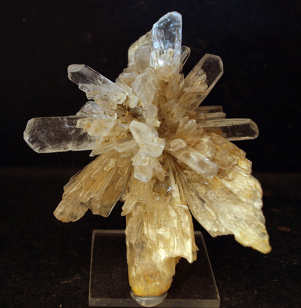 Yeso
9 x 7 cm
(Autor: Pedro Antonio)