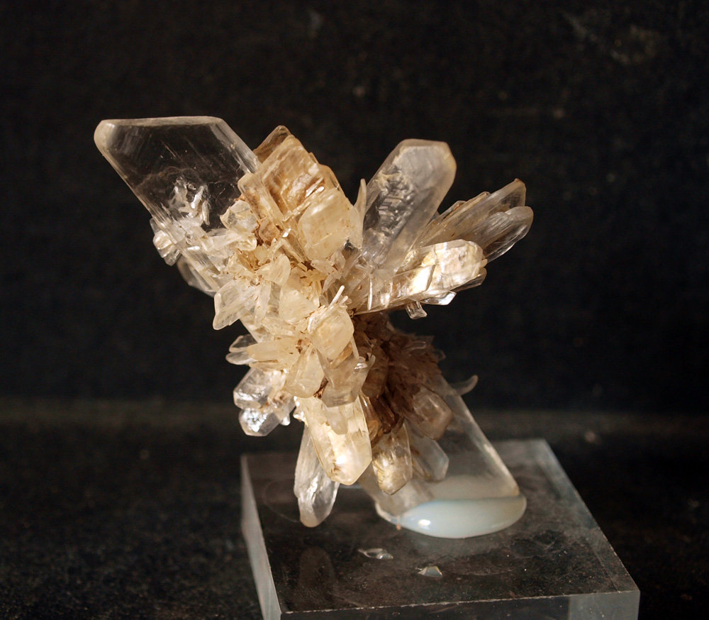 Yeso
7 x 4 cm
(Autor: Pedro Antonio)