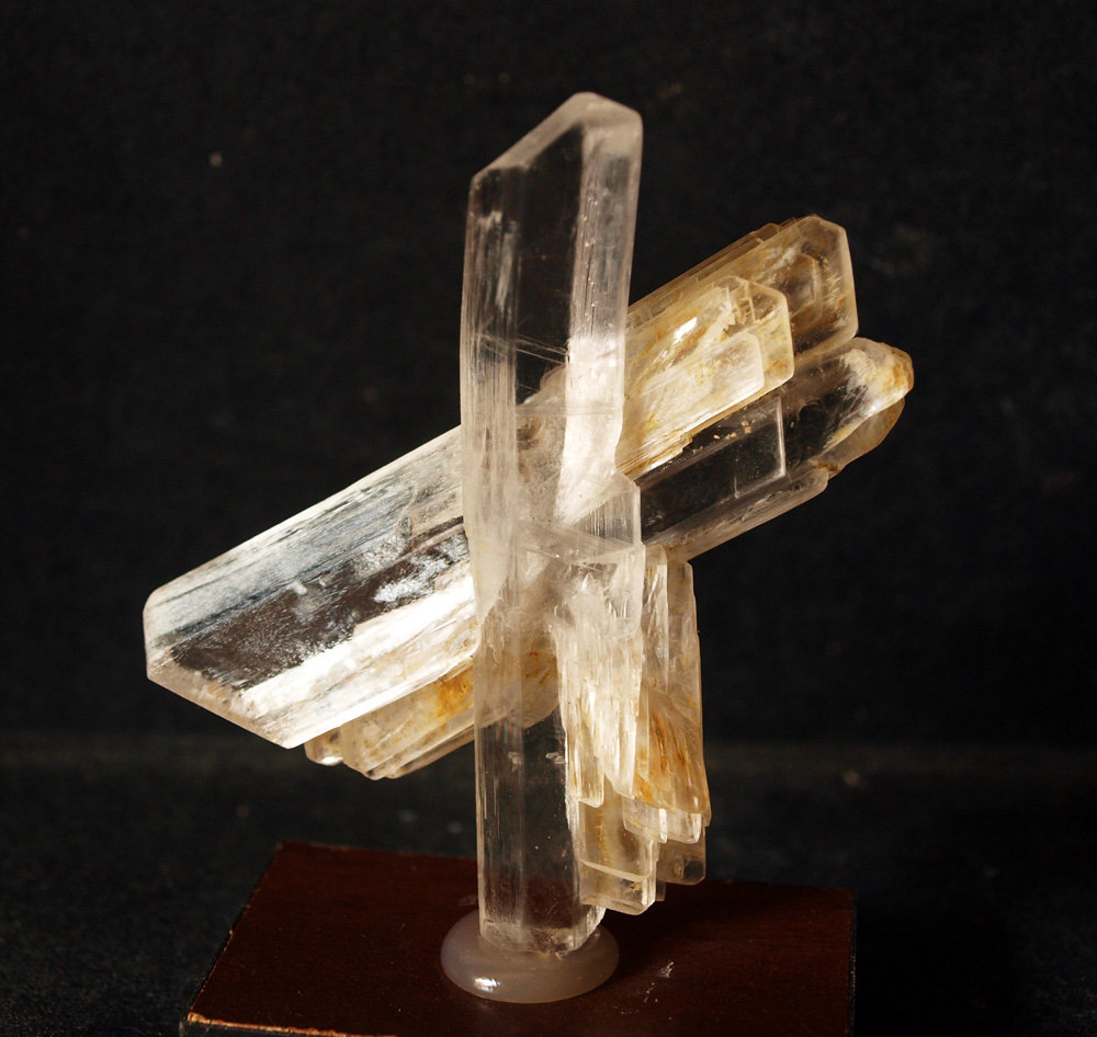 Yeso
7 x 6.5 cm
(Autor: Pedro Antonio)