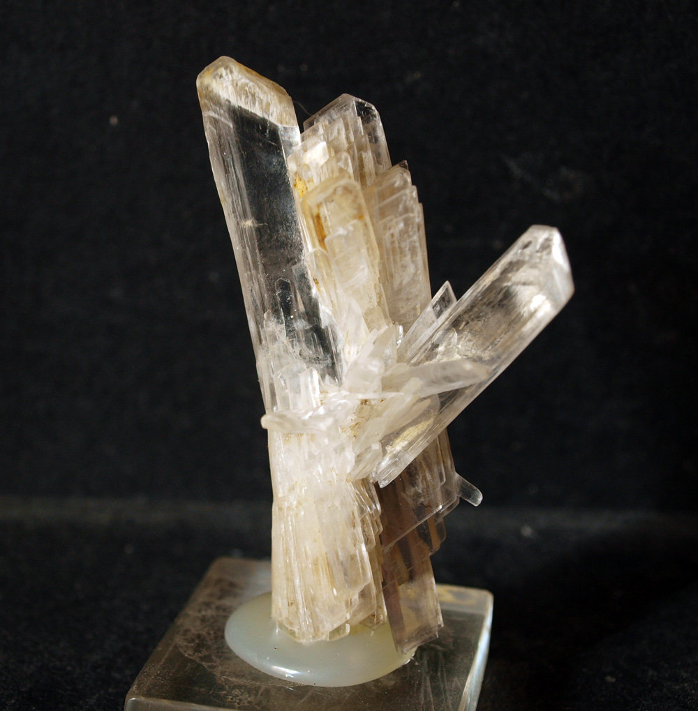 Yeso
7 x 5 cm
(Autor: Pedro Antonio)