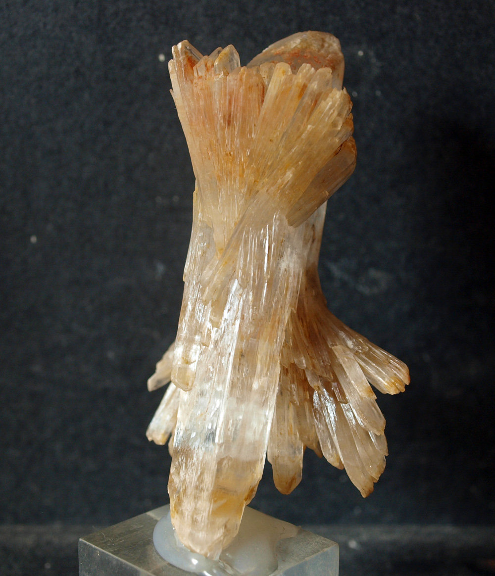 Yeso
9 x 4.5 cm
(Autor: Pedro Antonio)