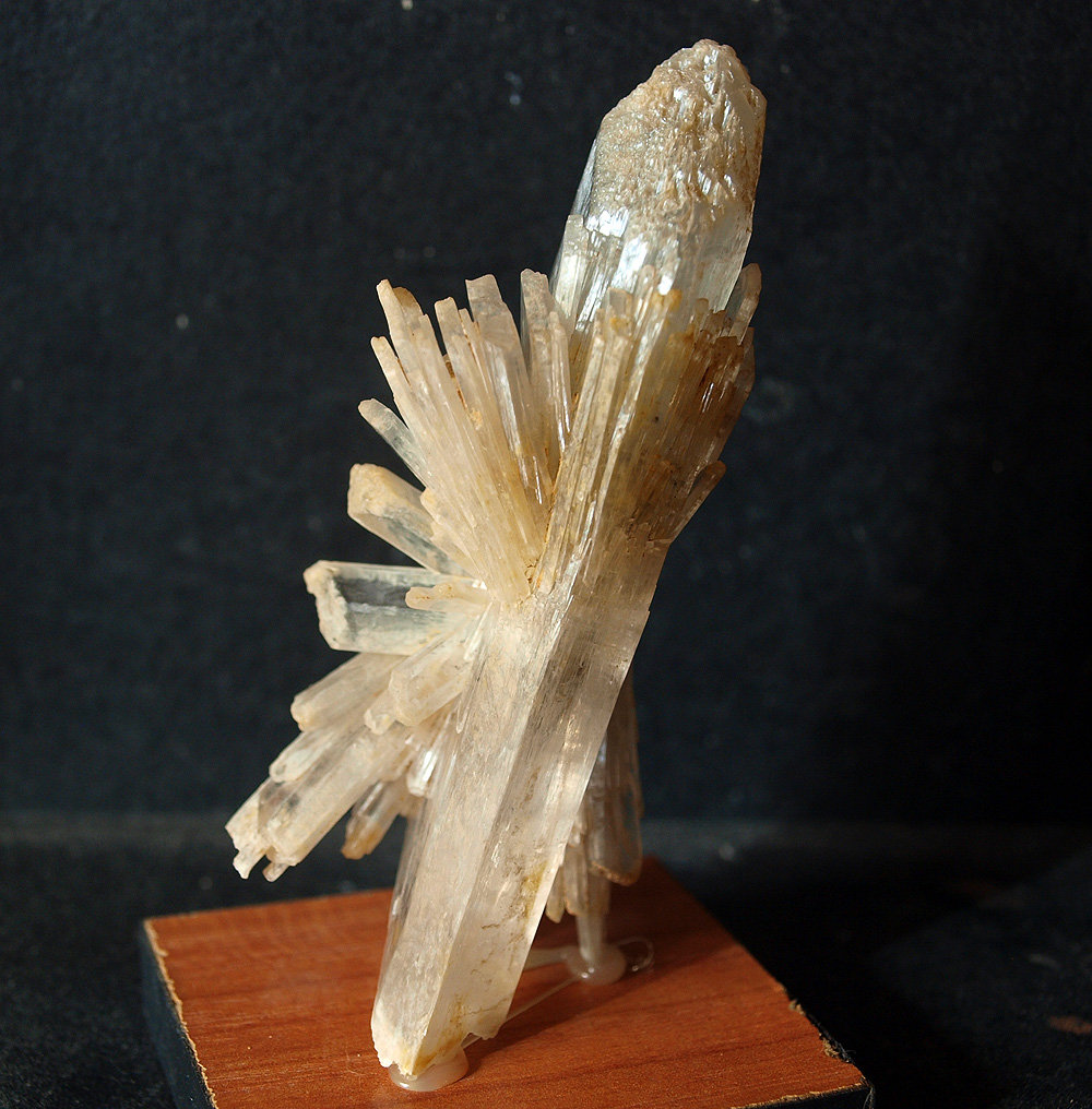 Yeso
9 x 3.5 cm
(Autor: Pedro Antonio)