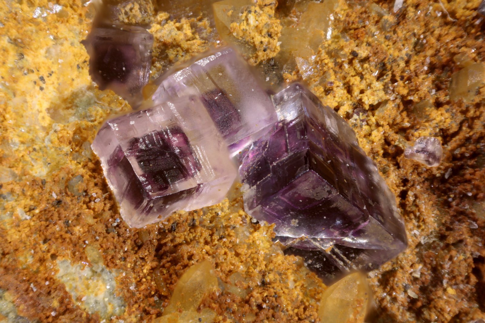 Fluorita
Cristal mayor 1.4 mm
(Autor: Jorgina-Agusti-Màrius)