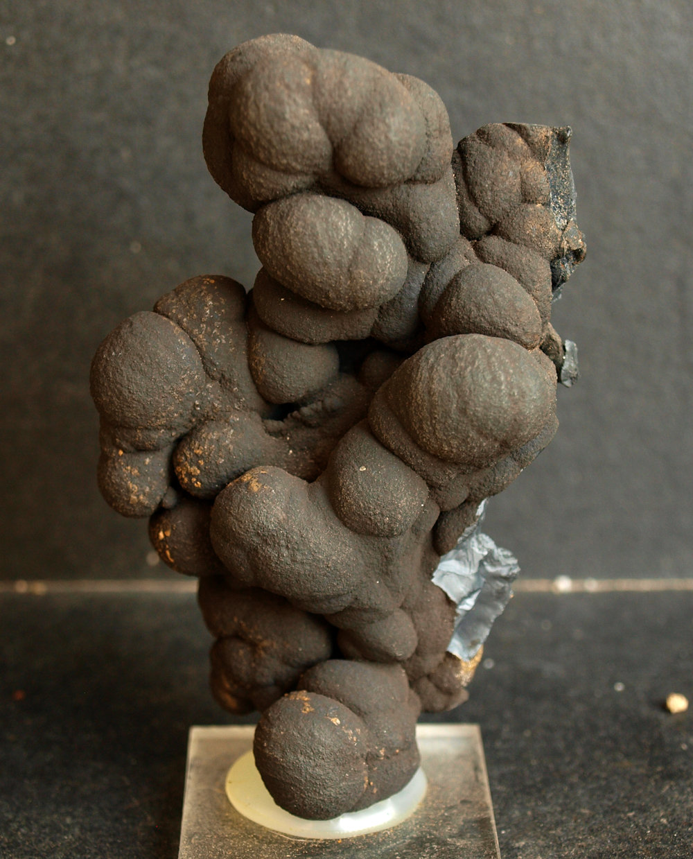 óxidos de manganeso (psilomelana)
8.5 x 5 cm
(Autor: Pedro Antonio)