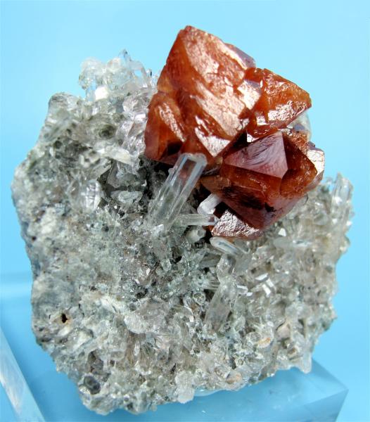 Scheelita, cuarzo
60 mm x 50 mm x 27 mm. Agregado de cristales de scheelita: 35 mm
(Autor: Carles Millan)