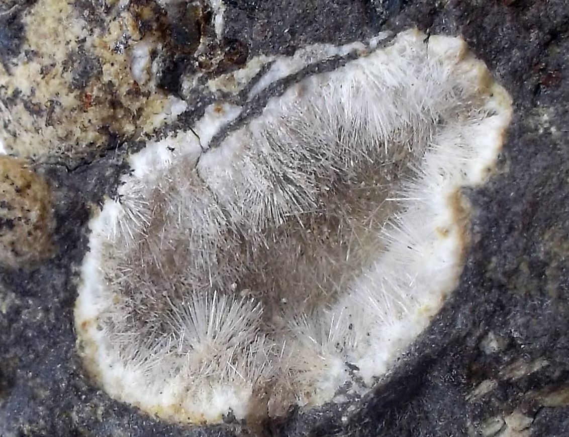 Natrolita-Mesolita
Geoda de 1 cm
(Autor: Cristalino)