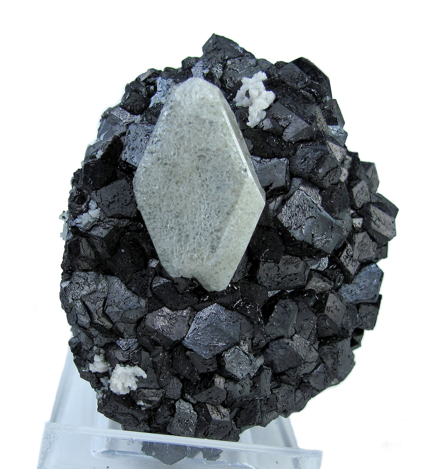 Scheelita, magnetita
67 mm x 56 mm. Scheelita: 30.0 mm de altura
(Autor: Carles Millan)