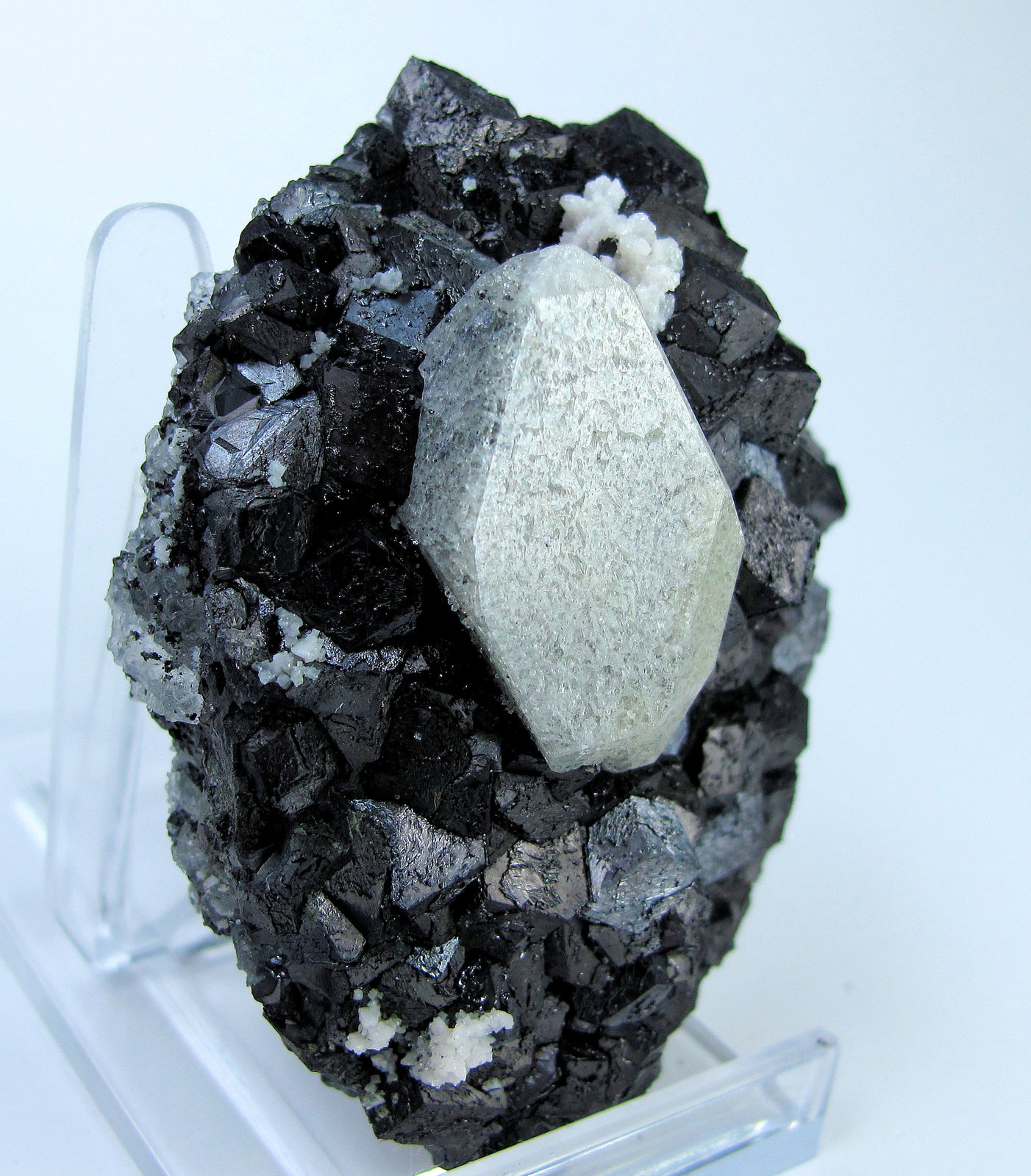 Scheelita, magnetita
67 mm x 56 mm. Scheelita: 30.0 mm de altura
(Autor: Carles Millan)