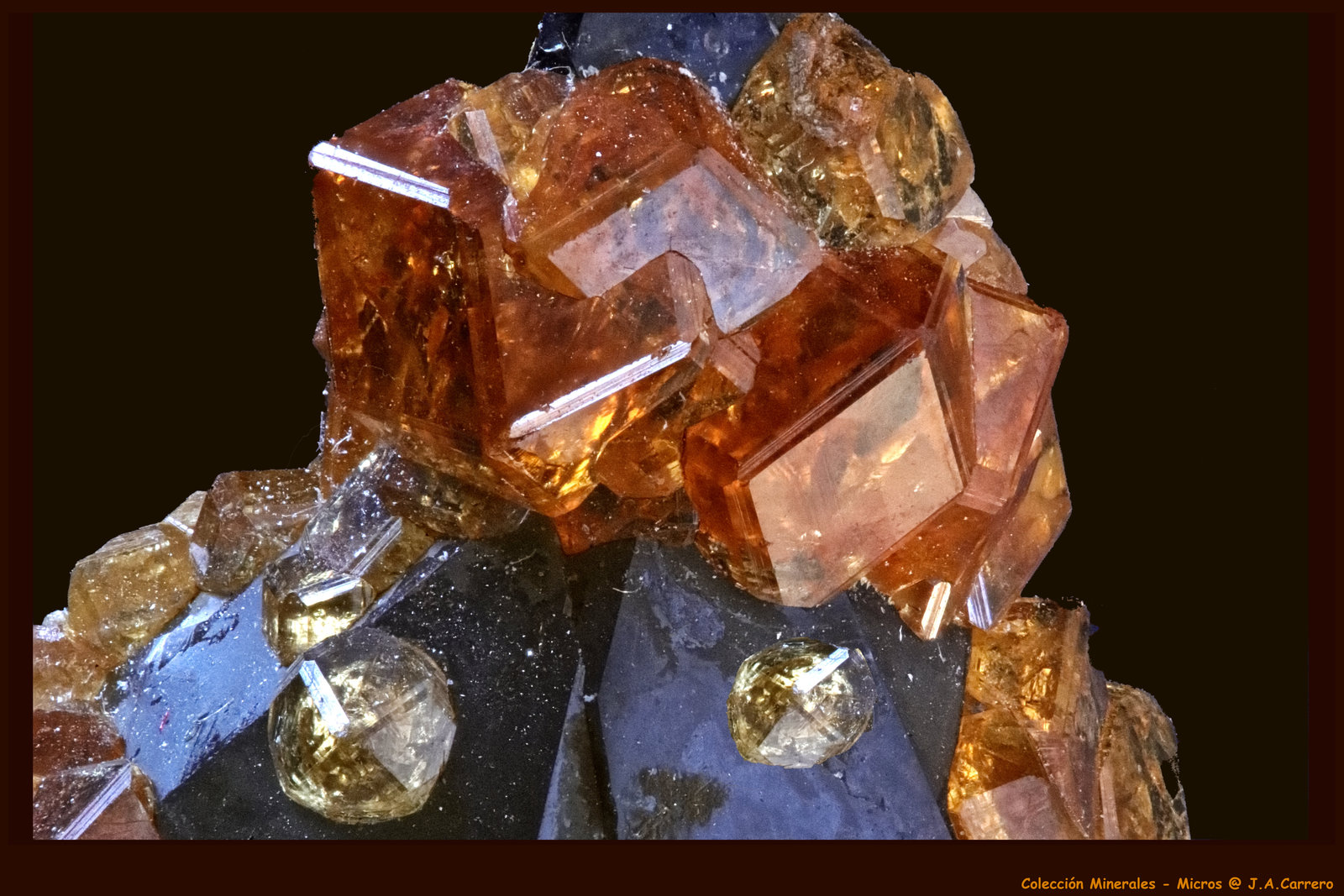 Spessartina
FoV: 4 x 3 mm
(Autor: Jose Angel Carrero)