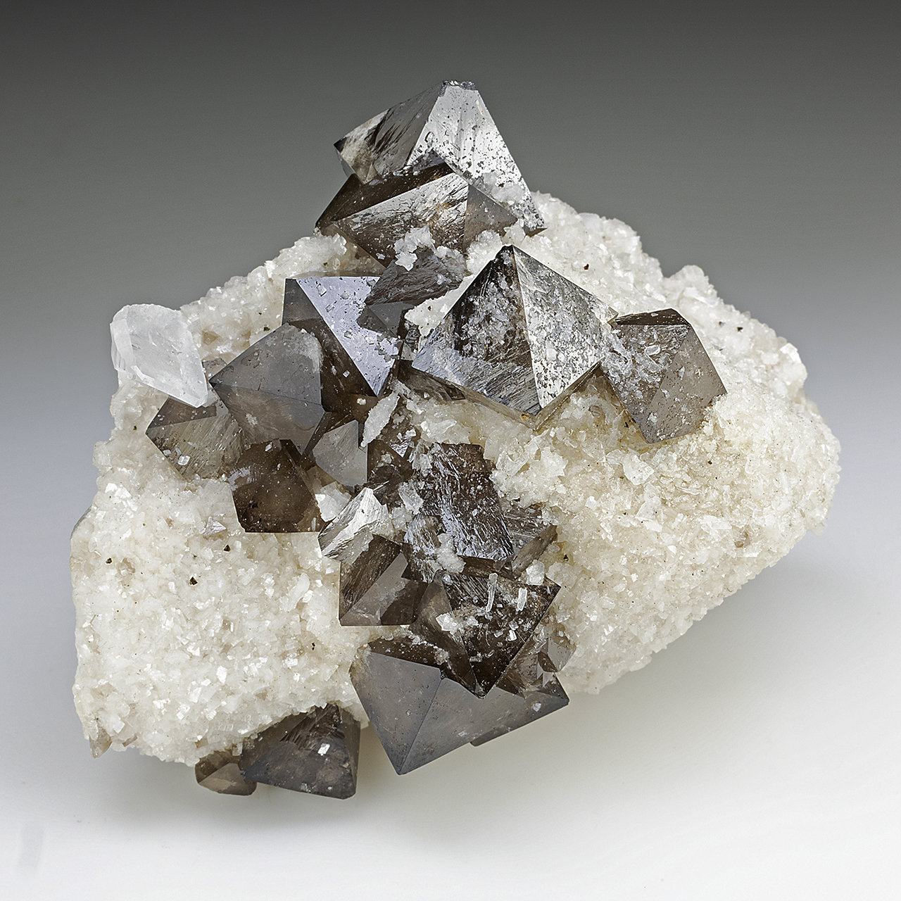 Scheelita, Dolomita y Cuarzo
71 mm x 54 mm x 54 mm. Cristal mayor de scheelita: 19 mm de vértice a vértice. Masa: 178 g
(Autor: Carles Millan)