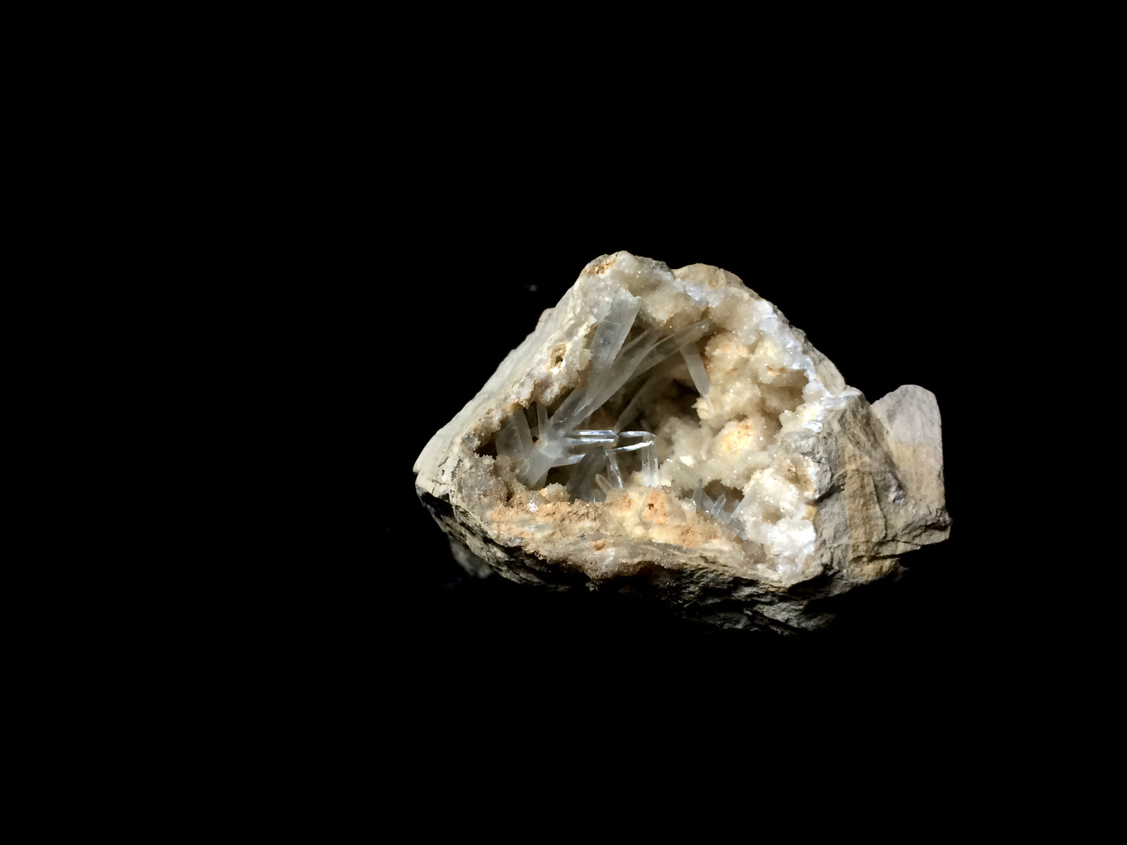 Celestina
5x4cm
(Autor: Obsi)