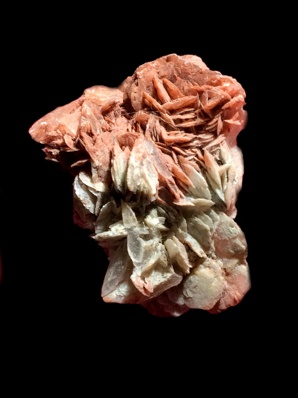 Yeso
6x4cm
(Autor: Obsi)