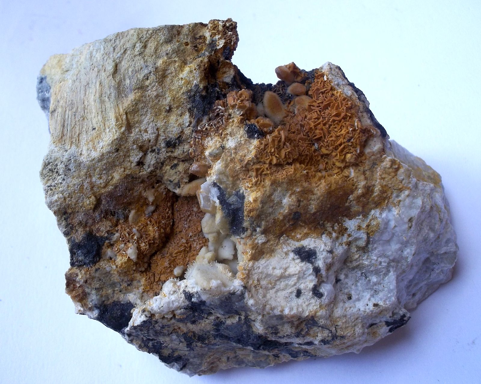 Fluorapatito
7 x 5 cm
(Autor: Cristalino)