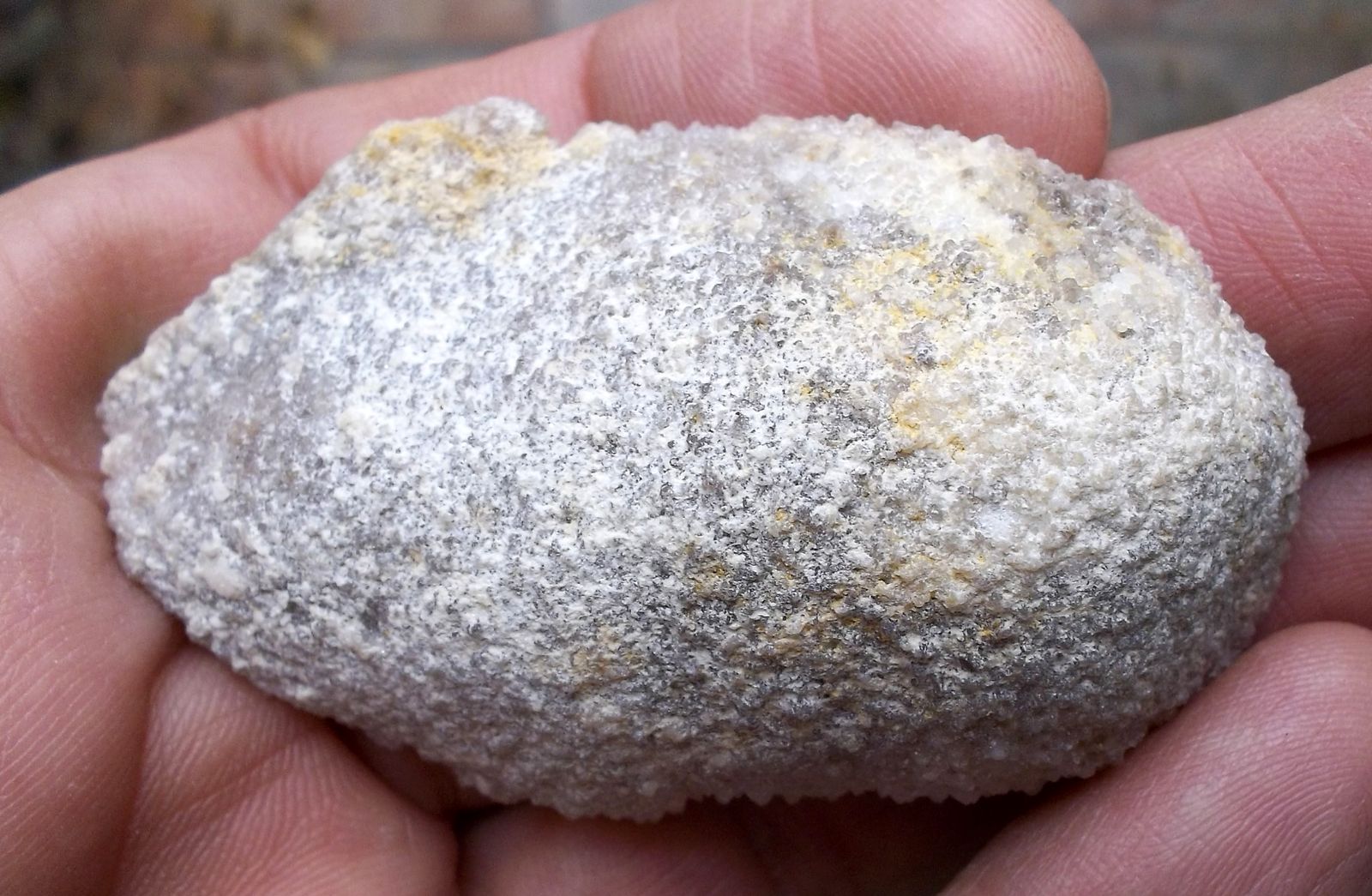 Cuarzo (variedad calcedonia)
6 x 3,5 cm
(Autor: Cristalino)