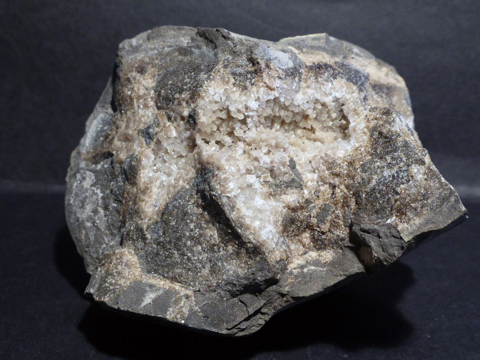 Celestina
8x7 cm
(Autor: Ander Ispizua Juan)