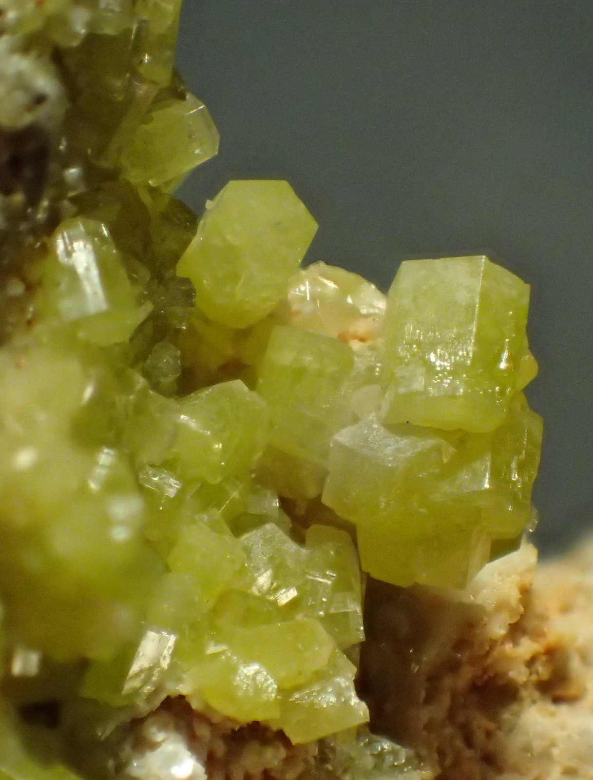 Piromorfita
1,5 x 1 cm (encuadre)
(Autor: Frederic Varela)