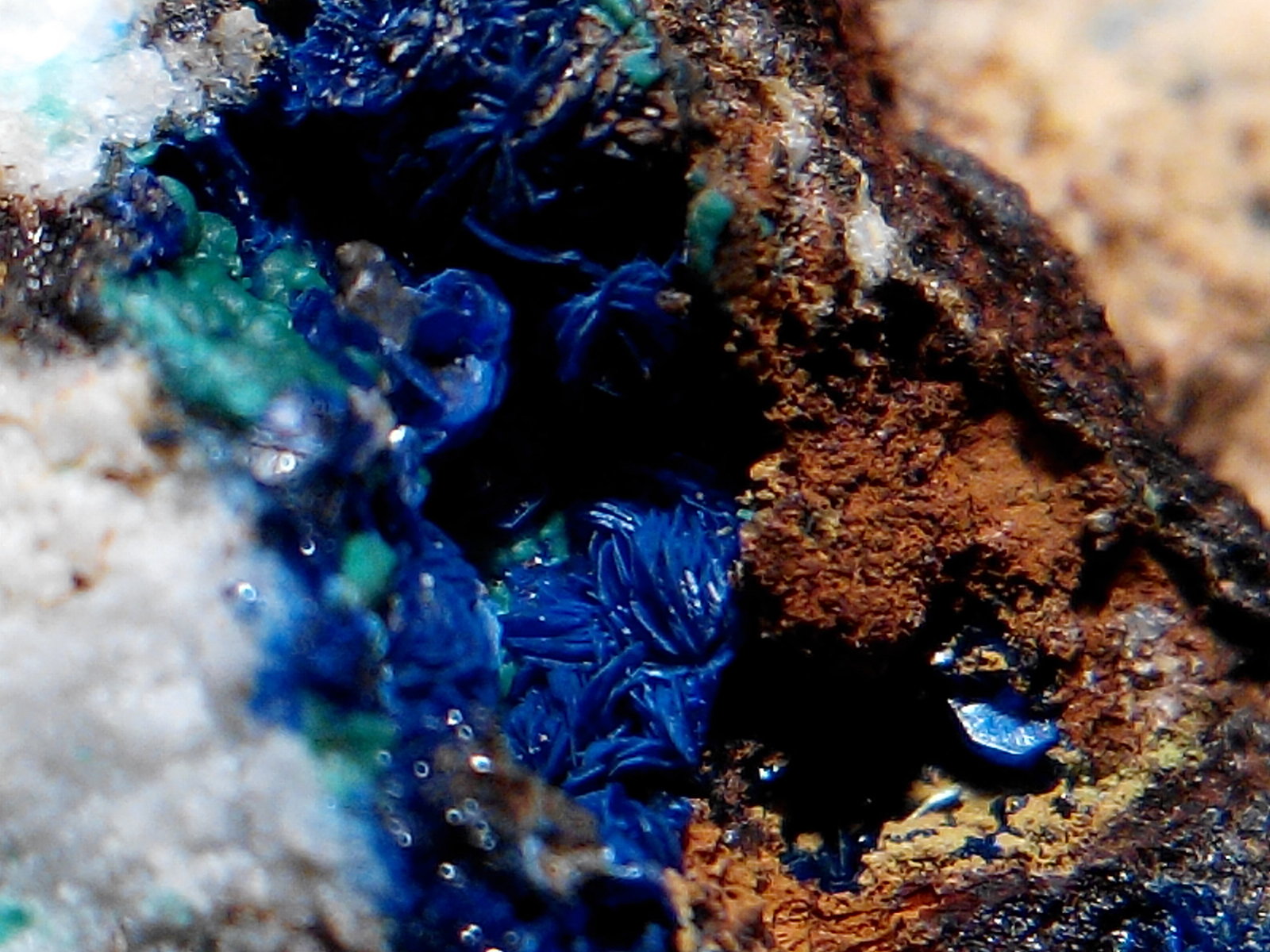 Azurita, Rosasita.
2,5 x 2 cm (encuadre)
(Autor: Frederic Varela)