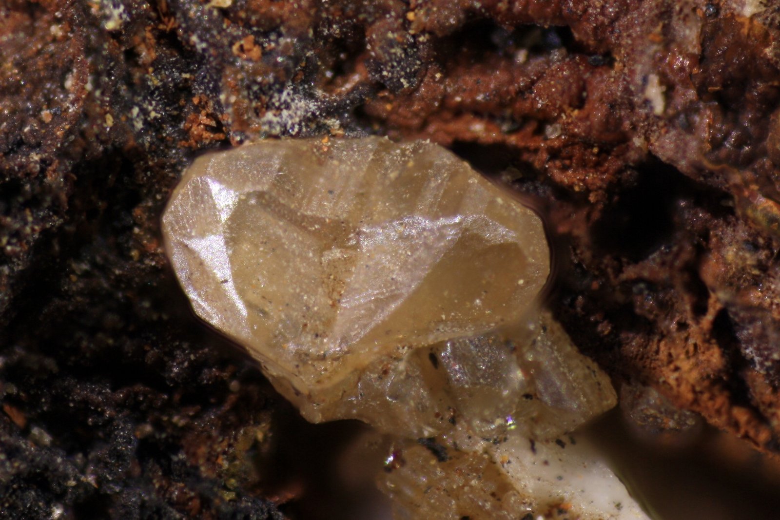 Cerusita
Cristal 2 mm
(Autor: Jorgina-Agusti-Màrius)