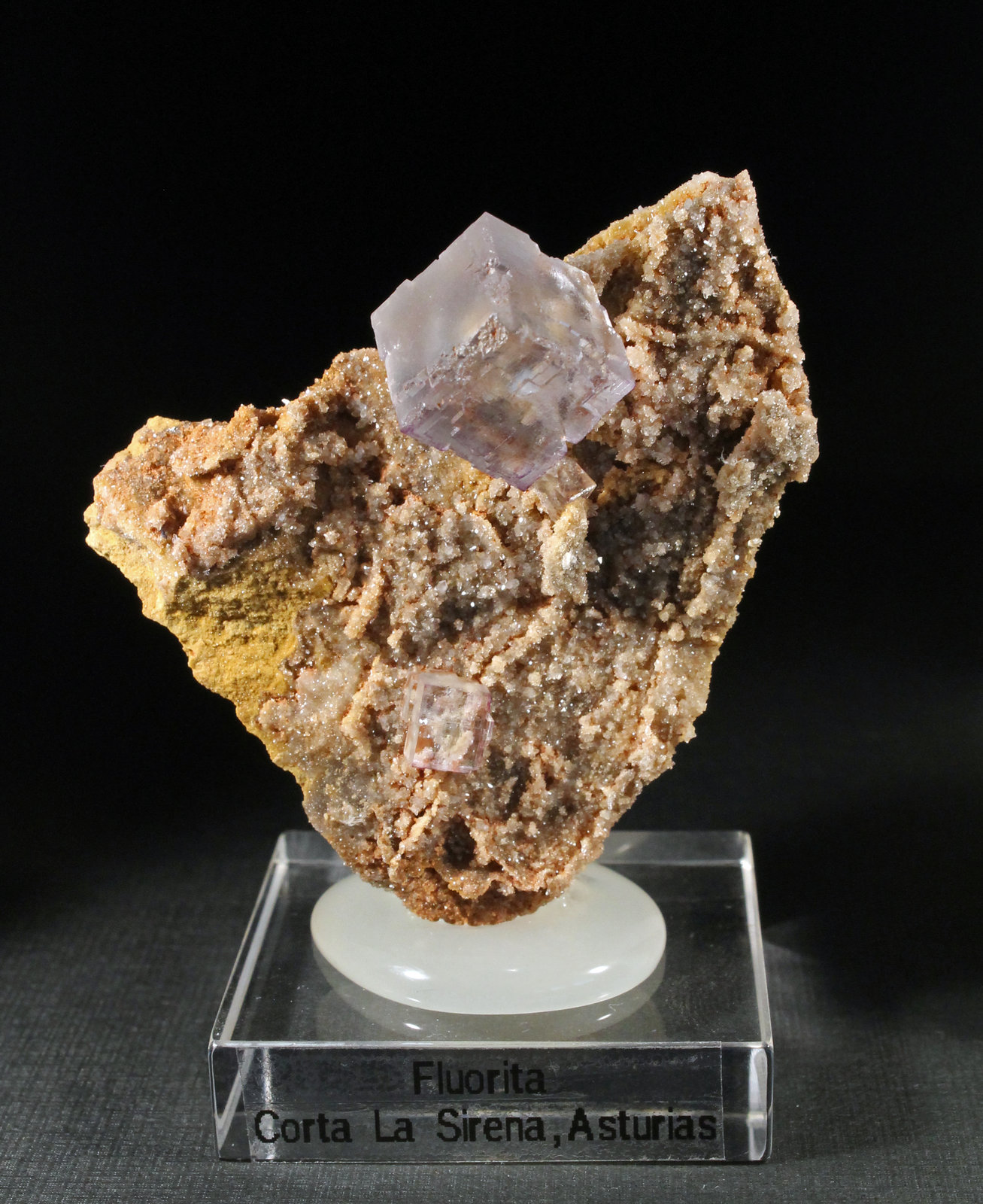 Fluorita
5,5 x 5 cm. (Cristal mayor: 1,3 cm).
(Autor: Darío Menéndez)