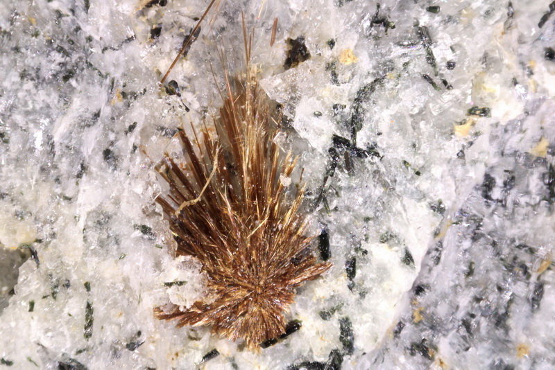 Tuperssuatsiaita
Conjunto 3,1 x 1,5 mm
(Autor: Jorgina-Agusti-Màrius)