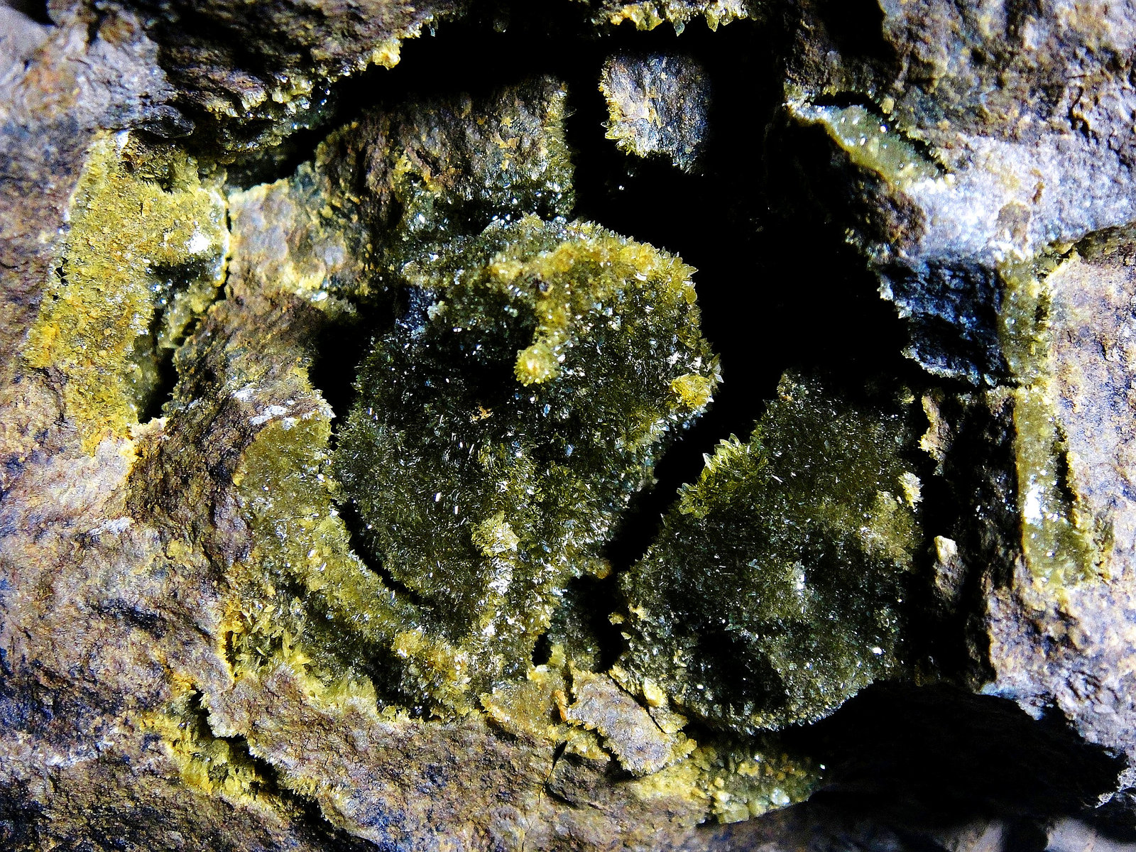 Anapaita
Campo de visión 5 cm.
(Autor: Antonio P. López)