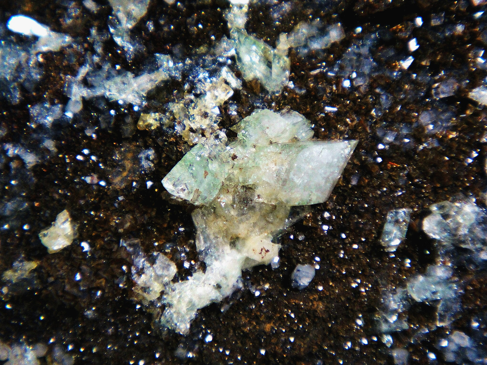 Augelita
Campo de visión 3 cm.
(Autor: Antonio P. López)
