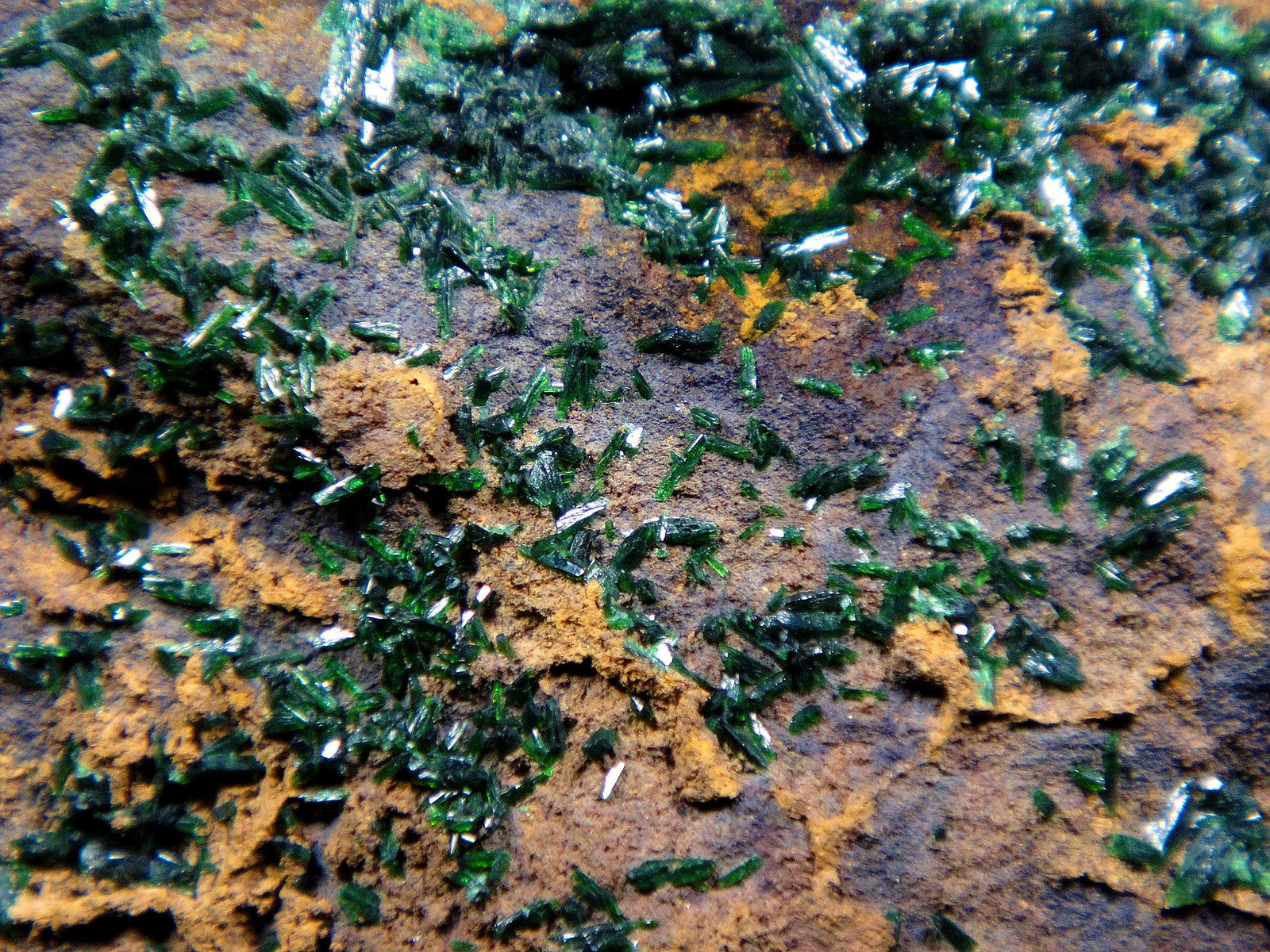 Libethenita
Campo de visión 4,5 cm.
(Autor: Antonio P. López)
