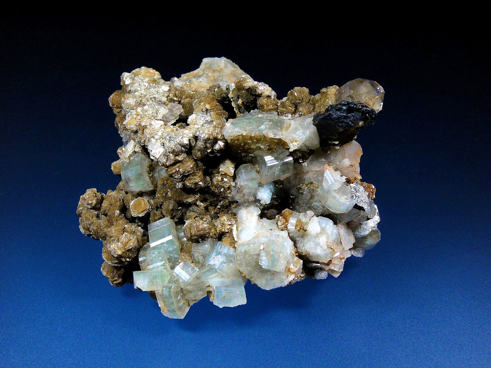 Fluorapatito
9 x 7 cm.
(Autor: Antonio P. López)
