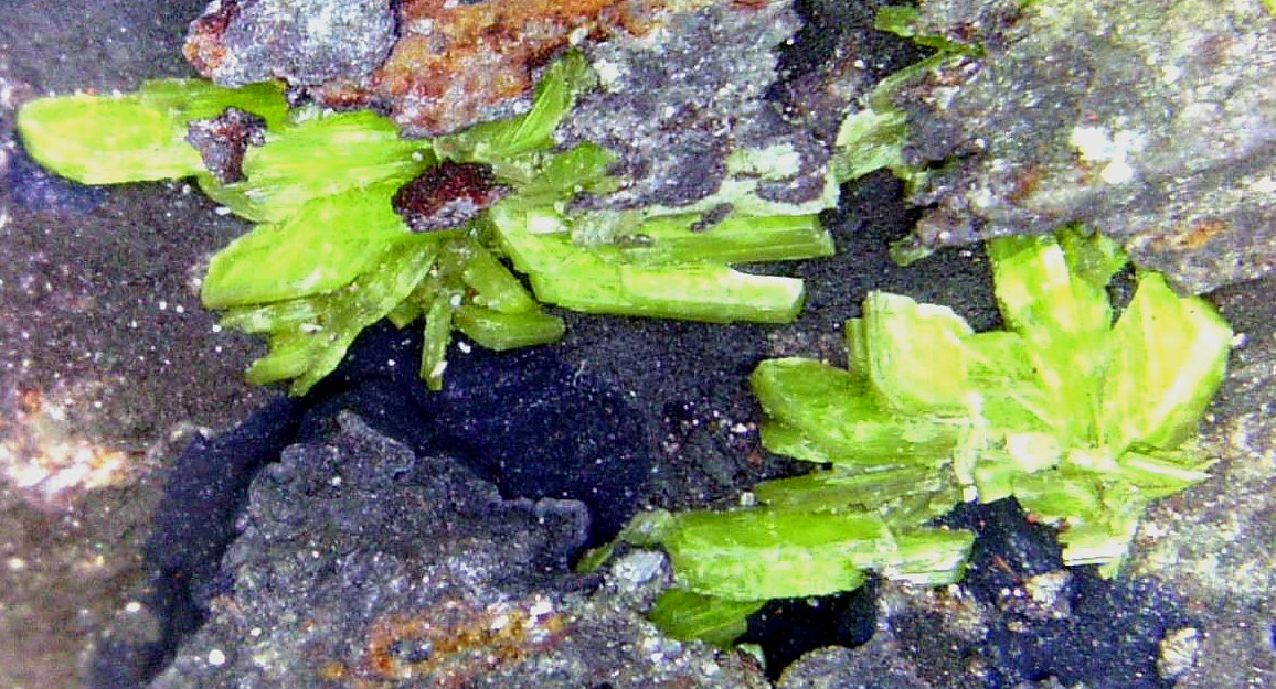 Autunita
Campo de visión 1 cm.
(Autor: Antonio P. López)