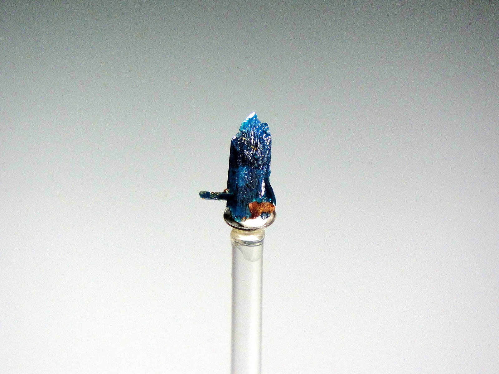 Veszelyita
10 x 4 mm.
(Autor: Antonio P. López)