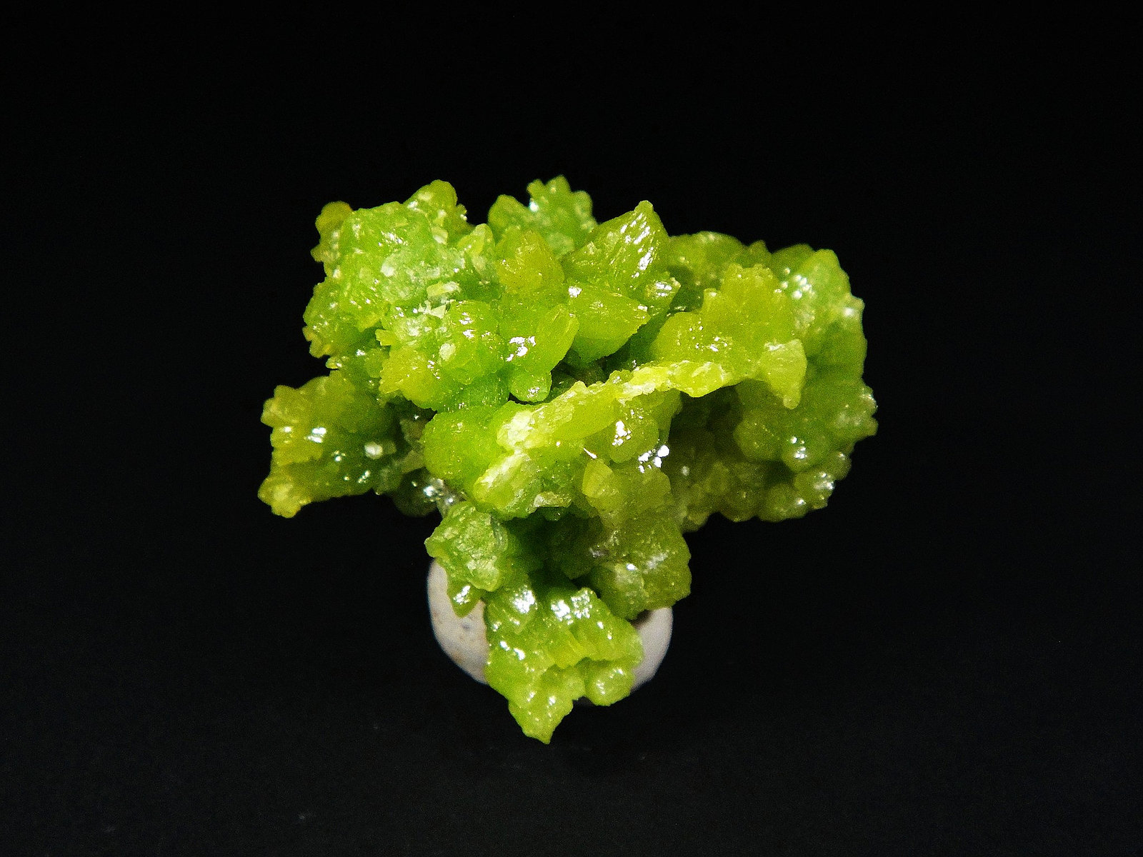 Piromorfita
3 x 3 cm.
(Autor: Antonio P. López)