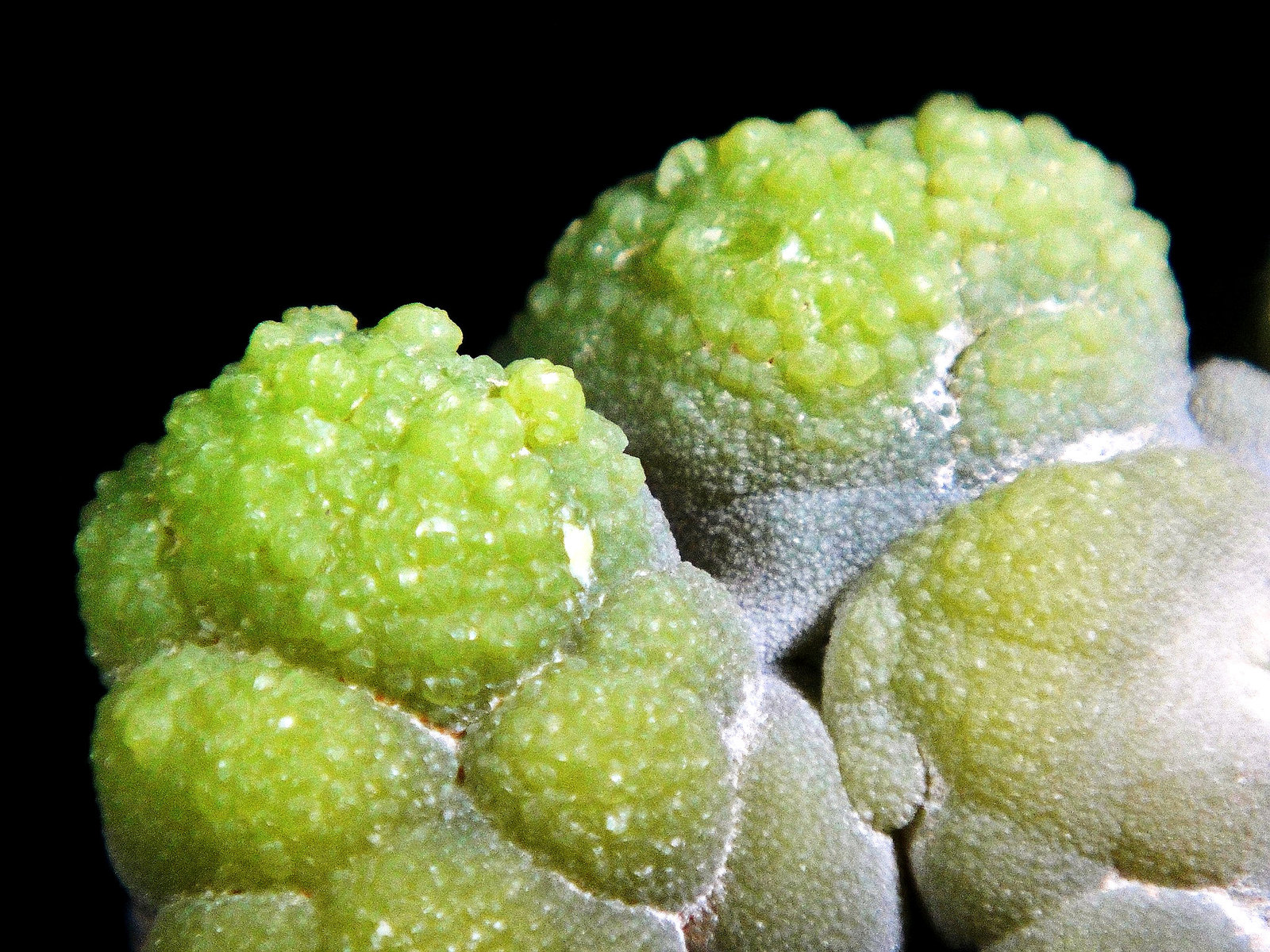Piromorfita
Campo de visión 4 cm.
(Autor: Antonio P. López)