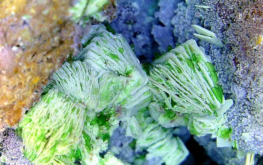 Metatorbernita y Torbernita
Campo de visión 4,1 mm.
(Autor: Antonio P. López)