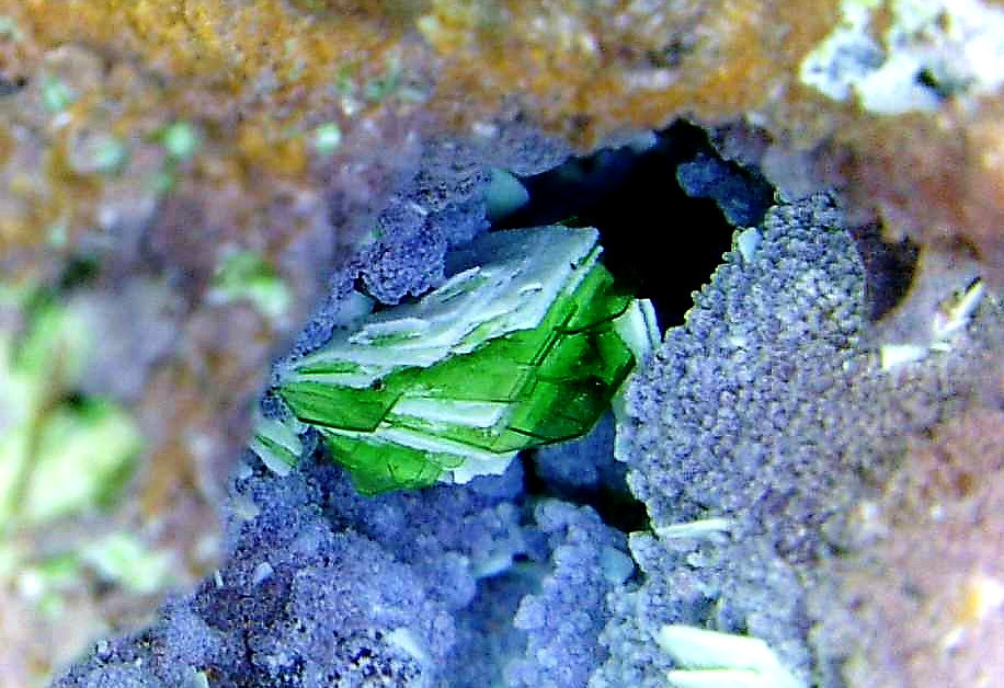 Metatorbernita y Torbernita
Campo de visión 3,5 mm.
(Autor: Antonio P. López)