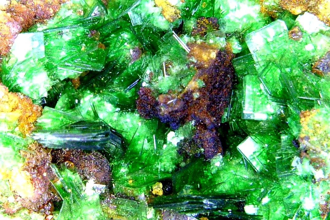 Torbernita
Campo de visión 8 mm.
(Autor: Antonio P. López)