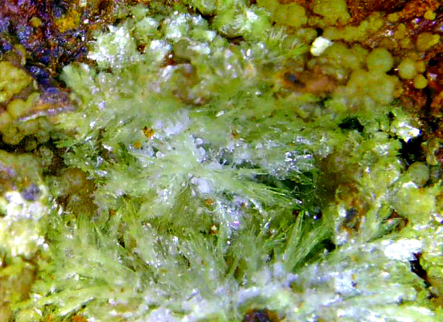 Montgomeryita
Campo de visión 10 mm.
(Autor: Antonio P. López)