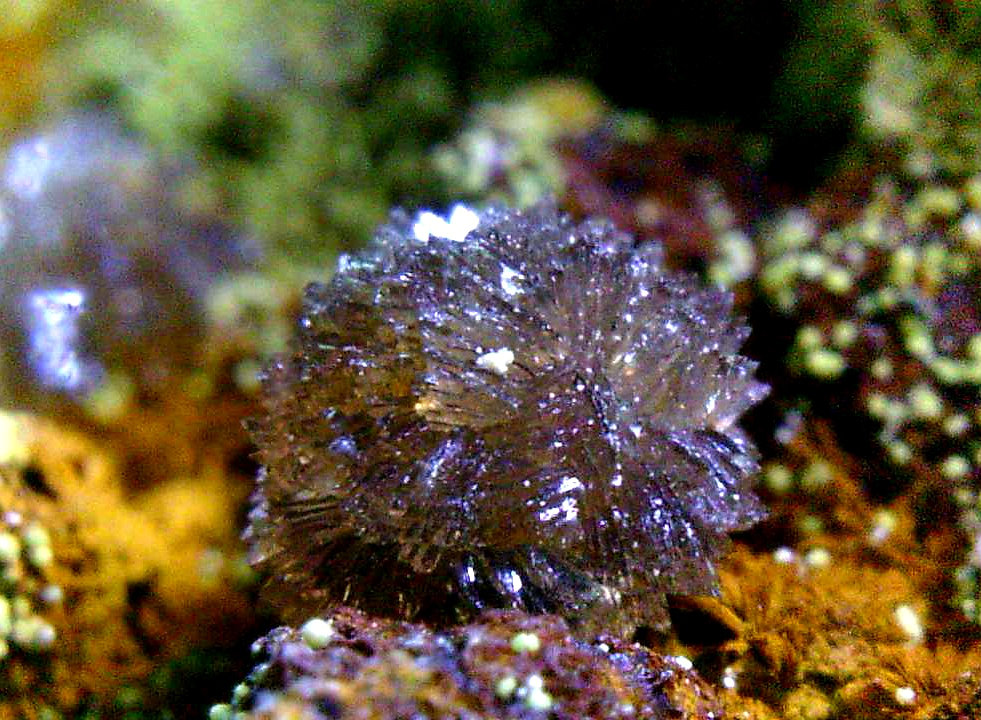 Leucofosfita
Cristal de 3 mm.
(Autor: Antonio P. López)