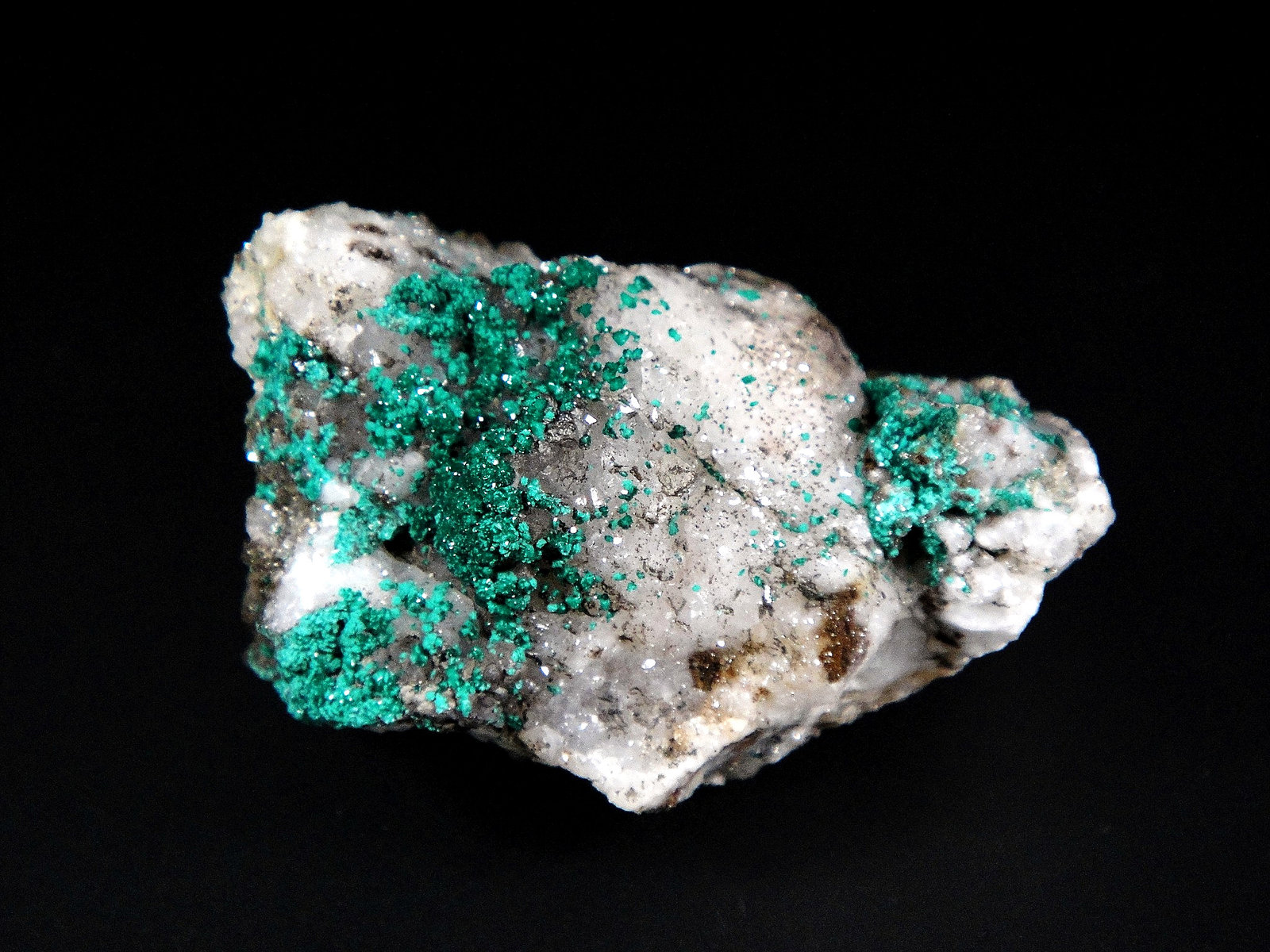 Reichenbachita y Pseudomalaquita
5 x 3 cm.
(Autor: Antonio P. López)