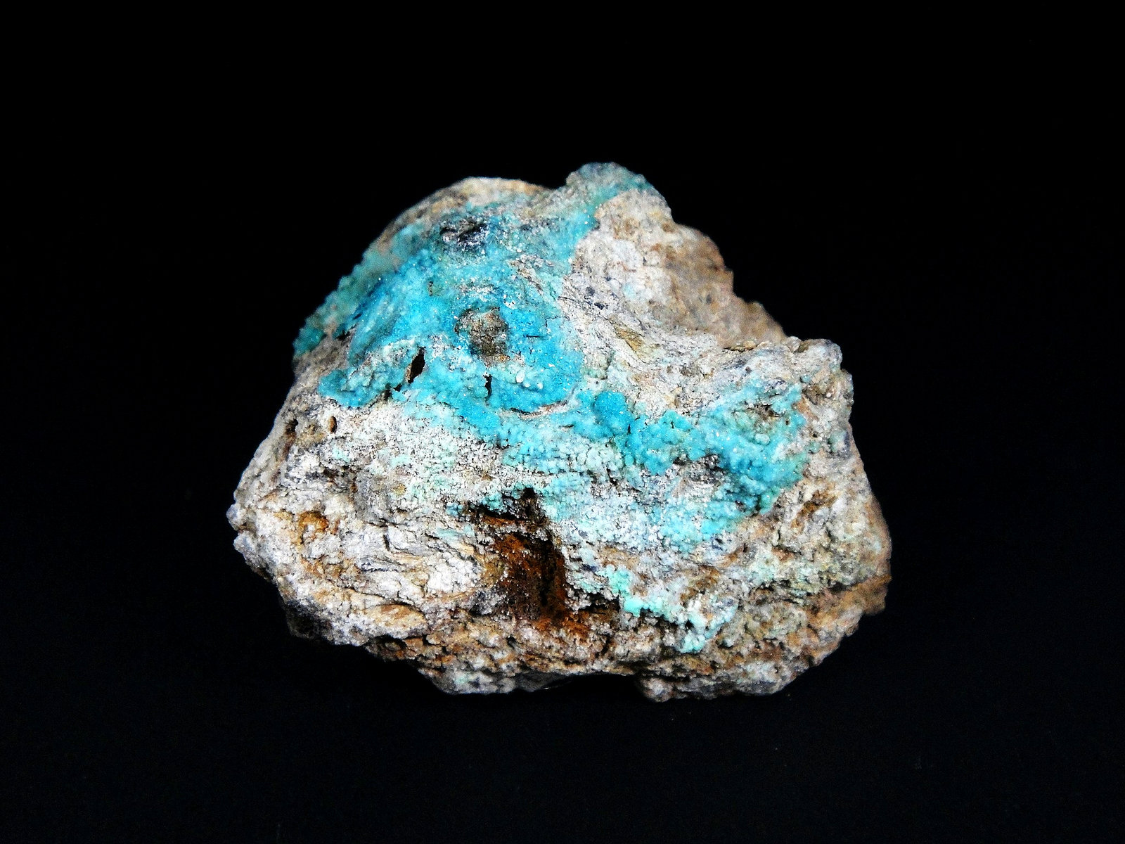 Zapatalita
4 x 4 cm.
(Autor: Antonio P. López)