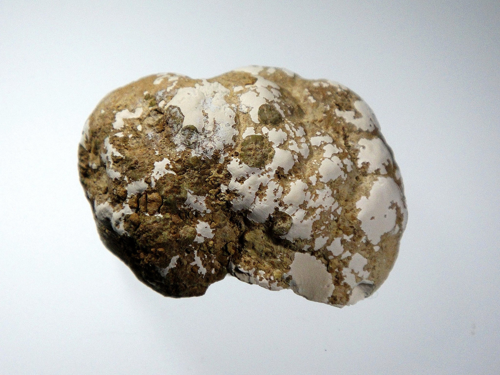 Tinticita
5 x 4 cm.
(Autor: Antonio P. López)