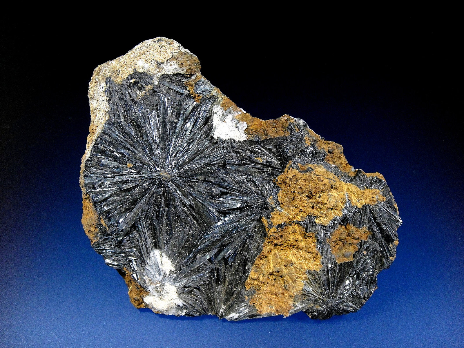 Metavivianita
10 x 7 cm.
(Autor: Antonio P. López)