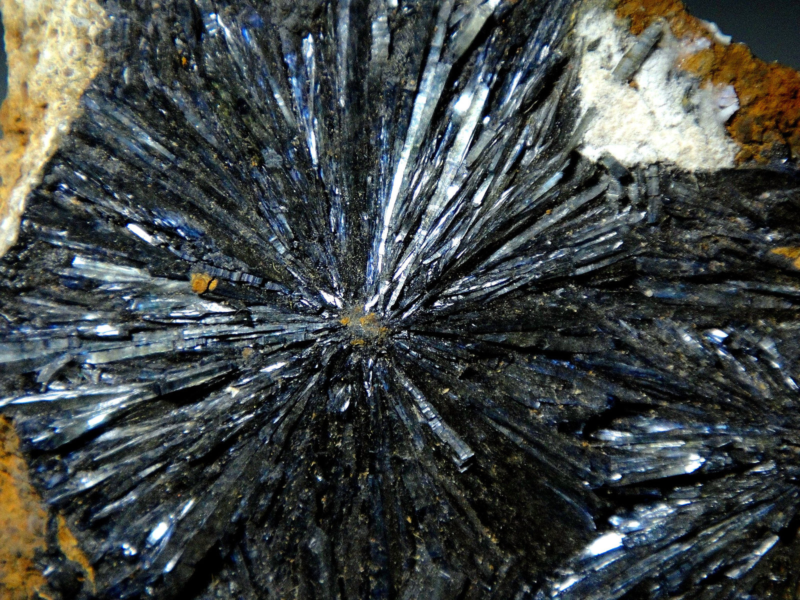 Metavivianita
Campo de visión 4 cm.
(Autor: Antonio P. López)