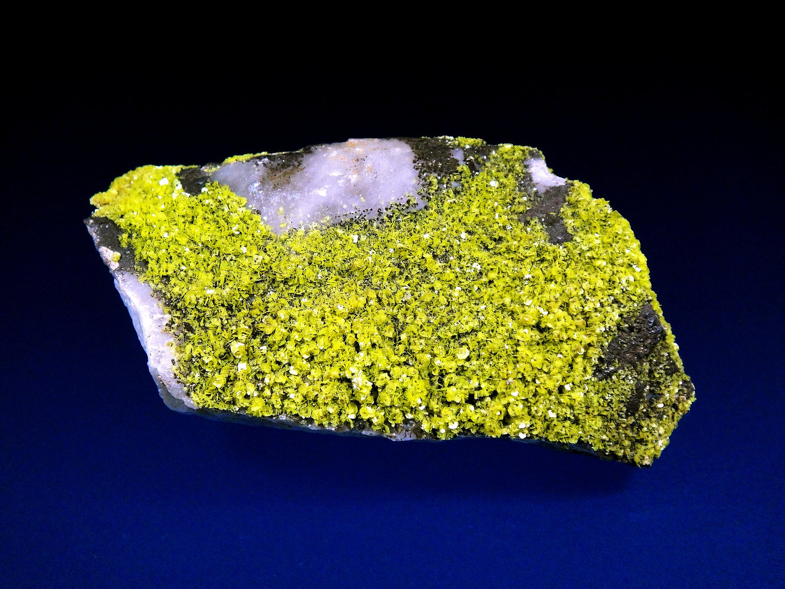 Uranocircita
8 x 4 cm.
(Autor: Antonio P. López)