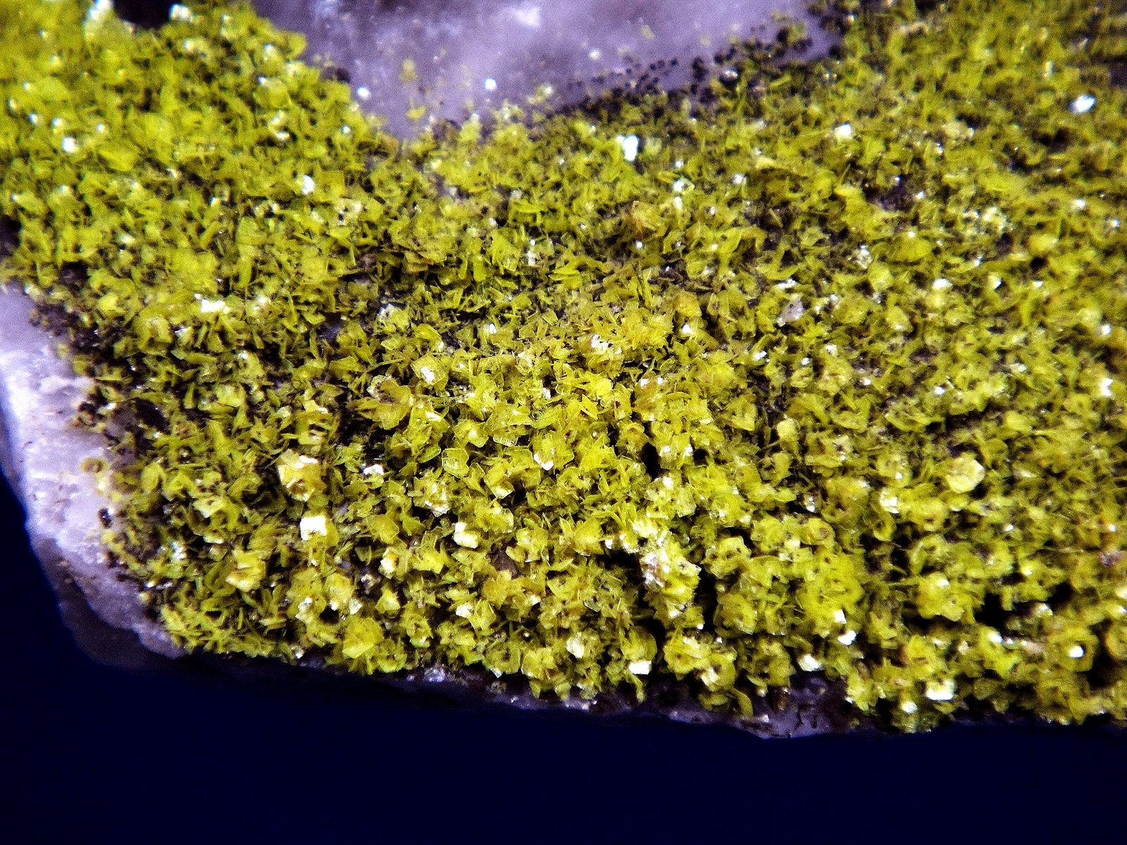 Uranocircita
Campo de visión 4 cm.
(Autor: Antonio P. López)