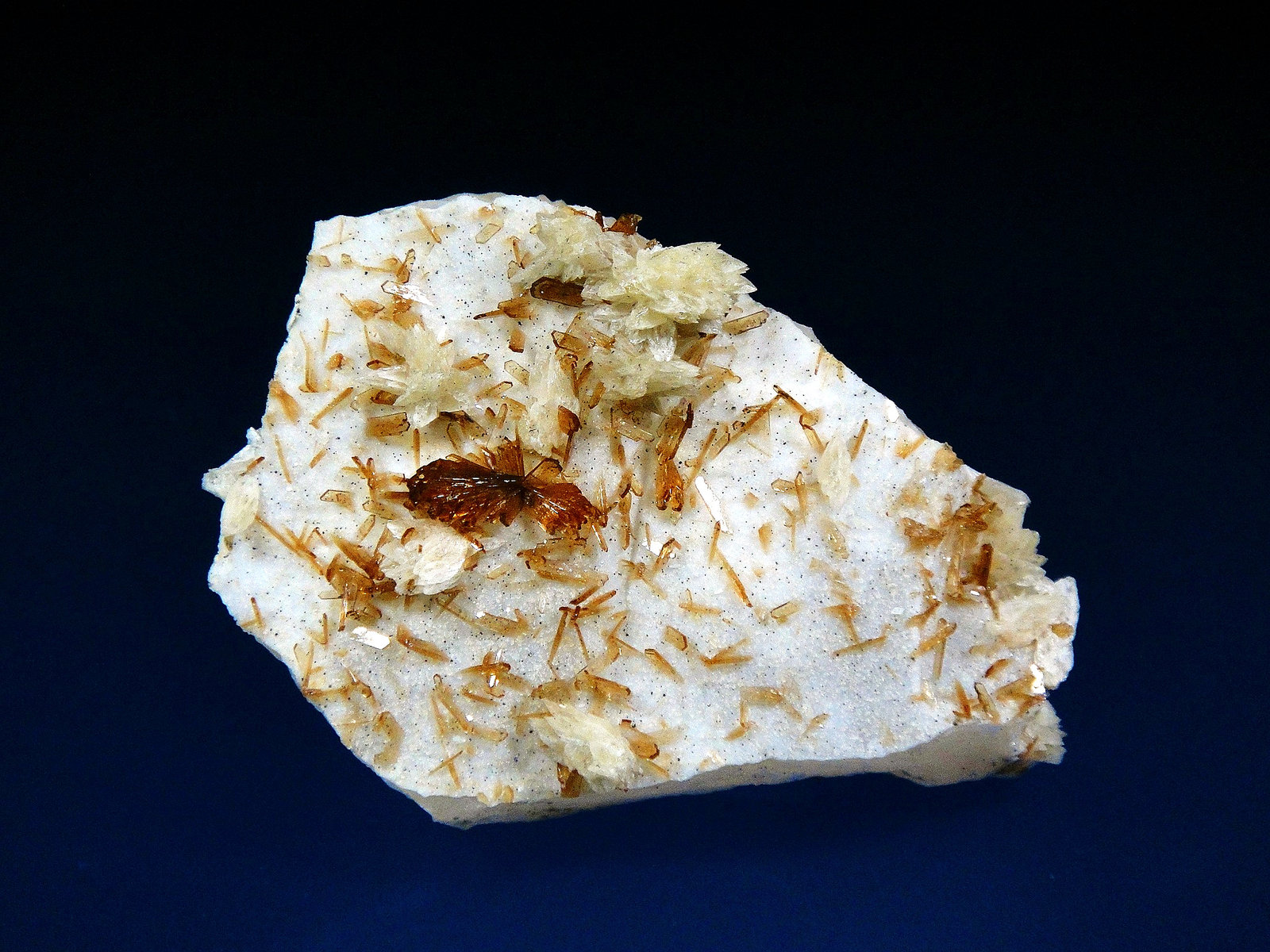 Collinsita y Eosphorita
4,5 x 3 cm.
(Autor: Antonio P. López)