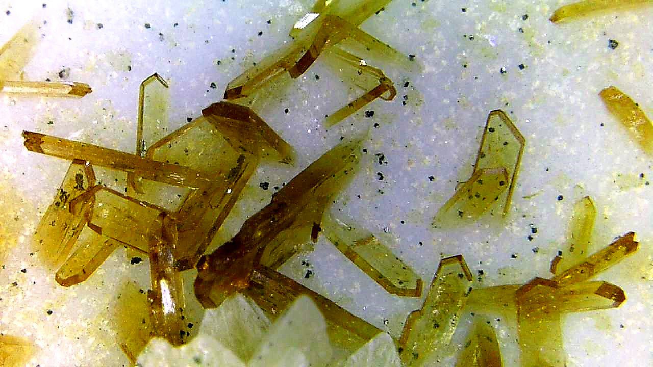 Eosphorita
Campo de visión 10 mm.
(Autor: Antonio P. López)