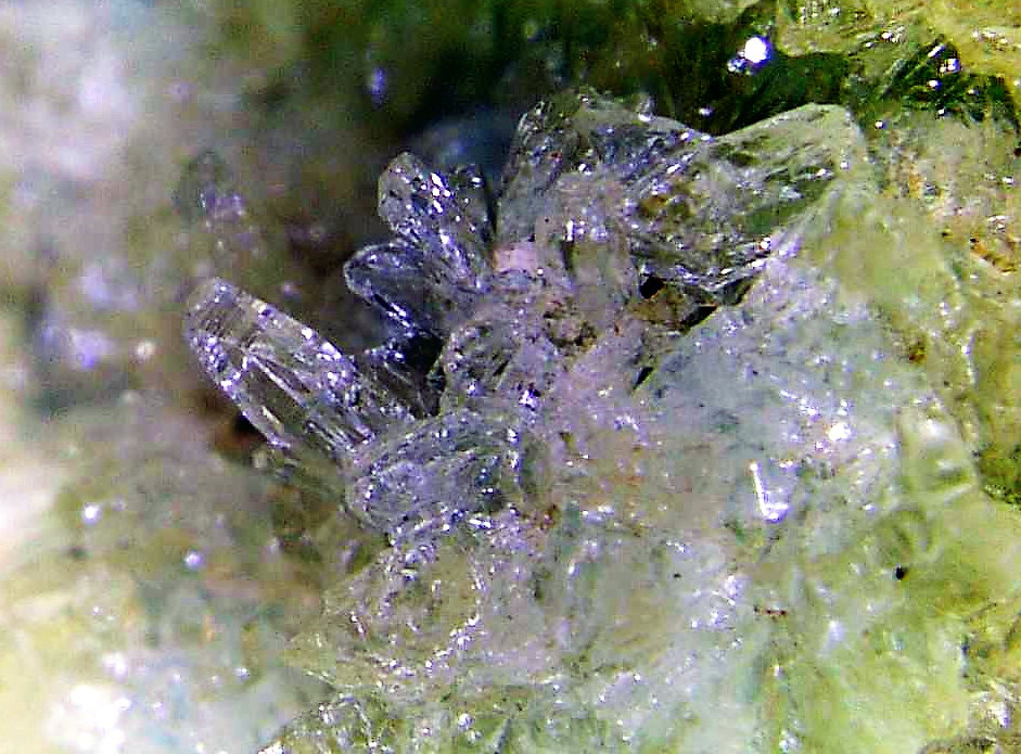 Senegalita
Campo de visión 10 mm.
(Autor: Antonio P. López)