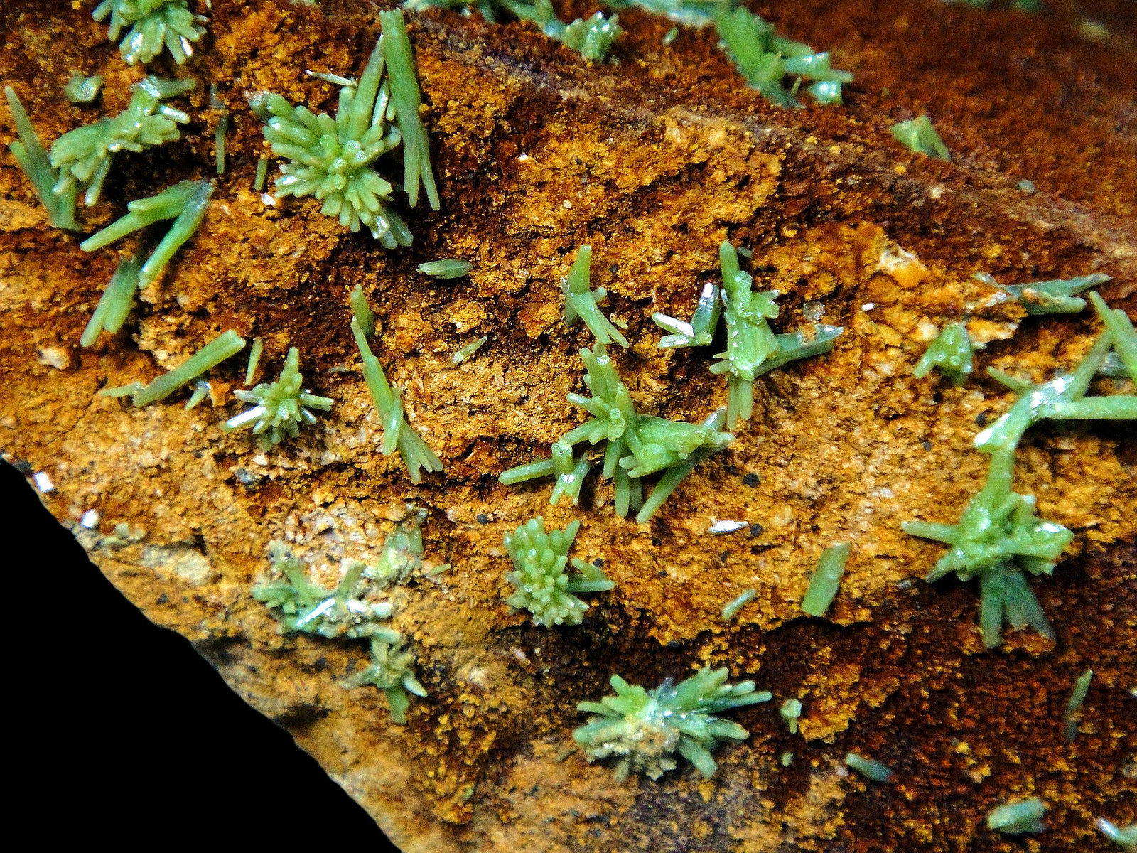 Piromorfita
Campo de visión 5 cm.
(Autor: Antonio P. López)